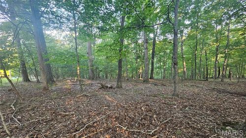 a-11 Nottingham Ct, Lake Sherwood, MO, 63357-1607 | Card Image