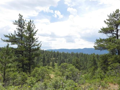 7069 Pasque Ct, Larkspur, CO, 80118 | Card Image