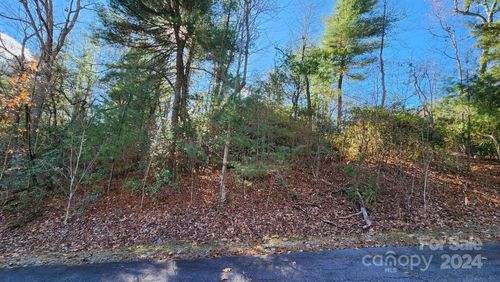 1-9999 Old Chestnut Ln, Hendersonville, NC, 28739 | Card Image