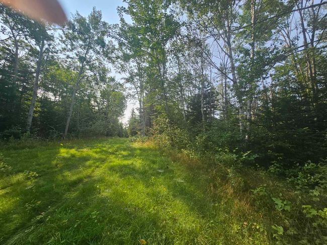 138 Grand Mira South Rd, House other with 3 bedrooms, 1 bathrooms and null parking in Marion Bridge NS | Image 18