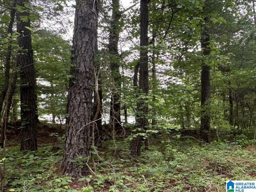 lot-1-000 County Road 400, SHELBY, AL, 35143 | Card Image