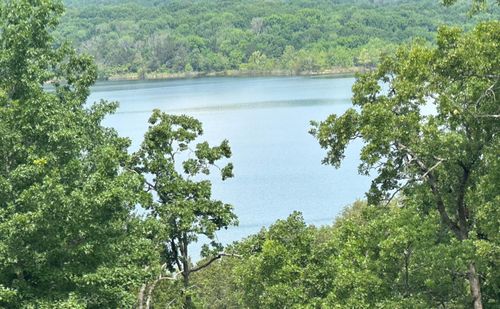 22 Merlot Rd, Lampe, MO, 65681 | Card Image