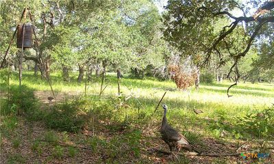 000 County Road 19, Home with 3 bedrooms, 2 bathrooms and null parking in Garwood TX | Image 3