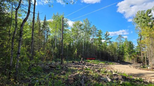 13 Crane Lake Road, Crane Lake Twp, MN, 55725 | Card Image
