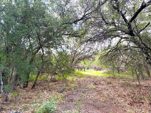 380 Sandy Mountain Dr, Sunrise Beach, TX, 78643-9252 | Card Image