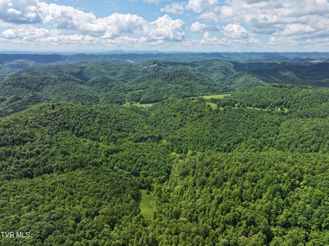 000 Goode Hollow Rd, Home with 0 bedrooms, 0 bathrooms and null parking in Duffield VA | Image 25