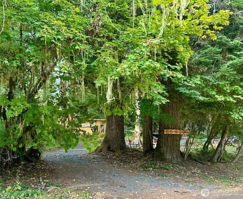 55918 317th Ave E, Ashford, WA, 98304-0080 | Card Image