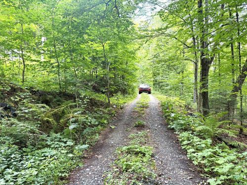 369 Hard Scrabble Rd, Sheffield, VT, 05866 | Card Image