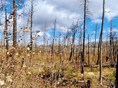 000 Galbreath Ln, Fort Garland, CO, 81133 | Card Image