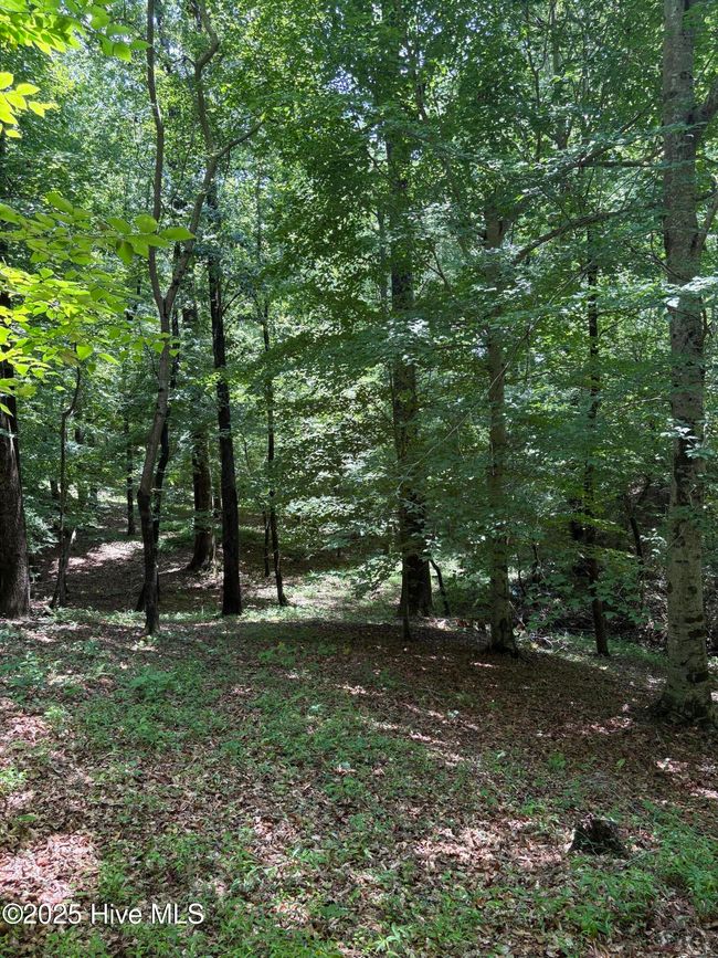 108 Gambit Ct, House other with 4 bedrooms, 3 bathrooms and 2 parking in Washington NC | Image 22