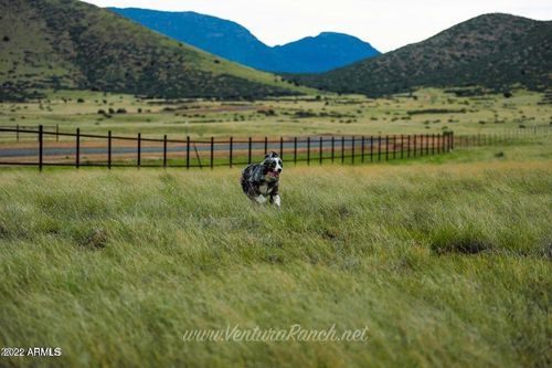 71-10221 E Ventura Way, Prescott Valley, AZ, 86315-9853 | Card Image