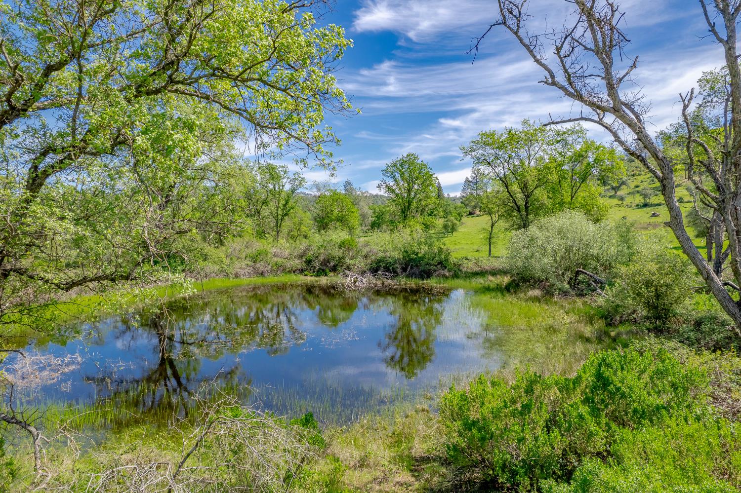 Land in Marysville