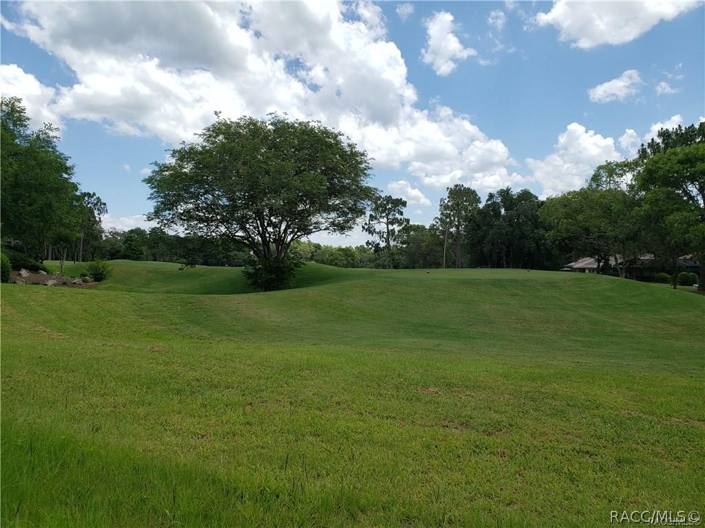 Land in Lecanto 3