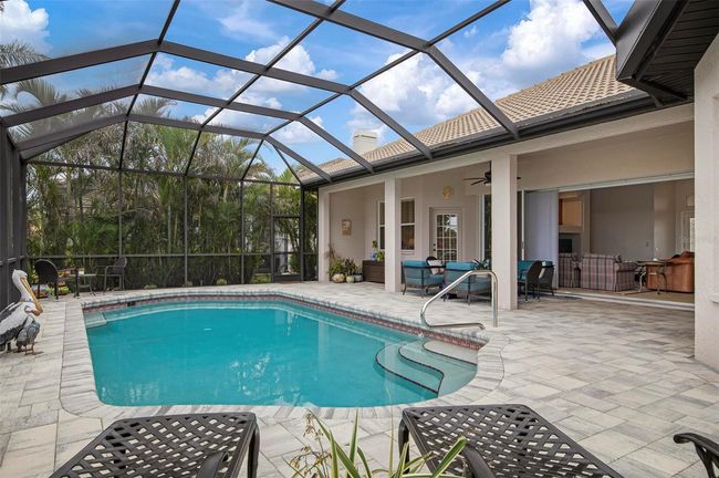 Pool, lanai | Image 4