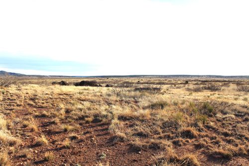 7306 Nm Highway 104, Conchas Dam, NM, 88416 | Card Image