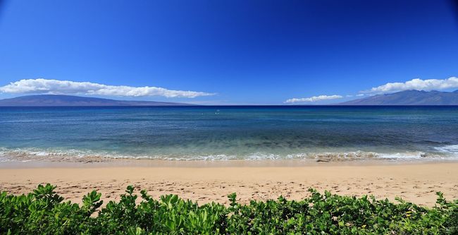 1019 - 110 Kaanapali Shores Pl, Condo with 2 bedrooms, 2 bathrooms and null parking in Lahaina HI | Image 4