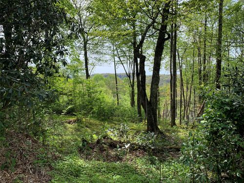 95 Oak Pt, Highlands, NC, 28741-7376 | Card Image