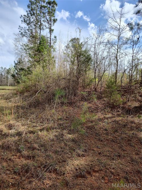 0 W Mill St, Georgiana, AL, 36033 | Card Image