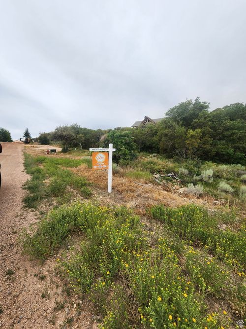 e-977 Cisco Run, Garden City, UT, 84028-7719 | Card Image