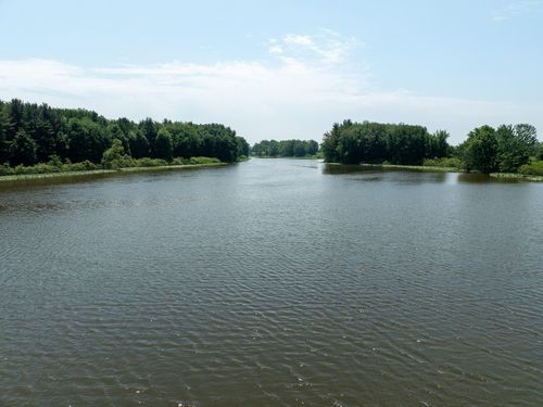 Parcel D N Stephens Rd, Custer, MI, 49405 | Card Image