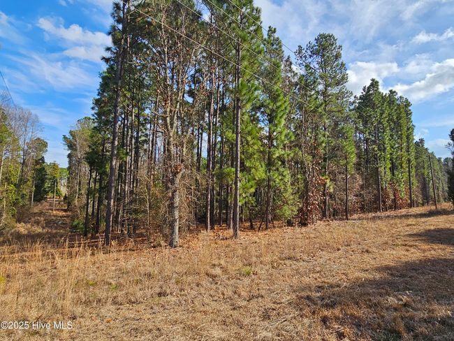 3675 Niagara Carthage Rd, Home with 0 bedrooms, 0 bathrooms and null parking in Carthage NC | Image 4
