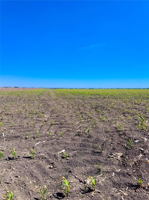 TBD Tract 4 Lund Carlson Road, Coupland, TX, 78615 | Card Image