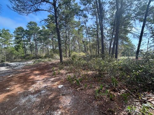 1863 Lighthouse Rd, Carrabelle, FL, 32322-3032 | Card Image