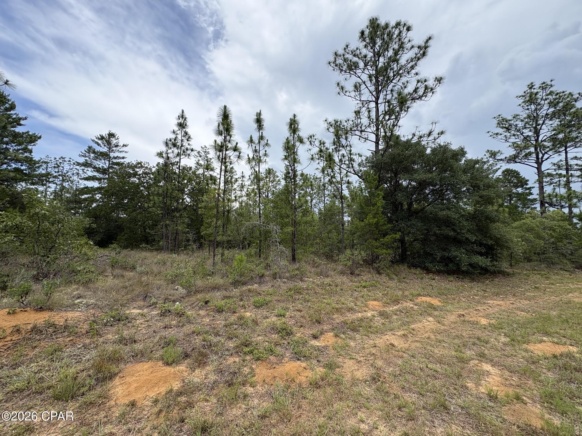 Land in Chipley 4