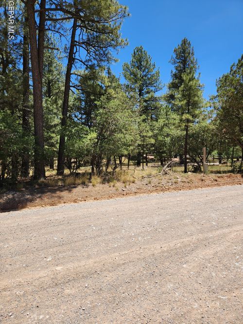 469 Dixwood Dr, Timberon, NM, 88350-9742 | Card Image