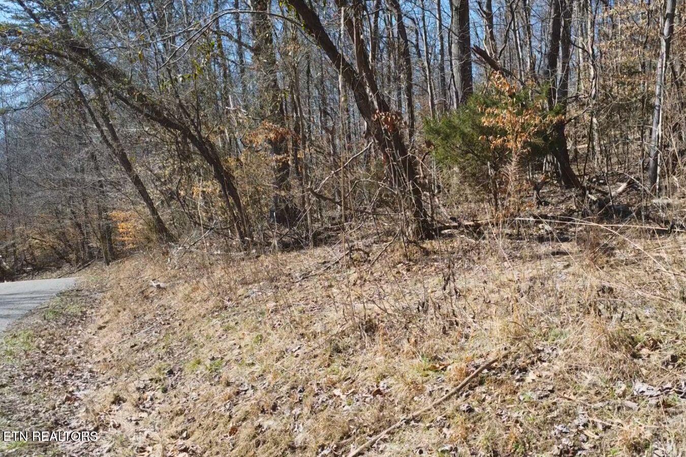 Land in Jacksboro 3