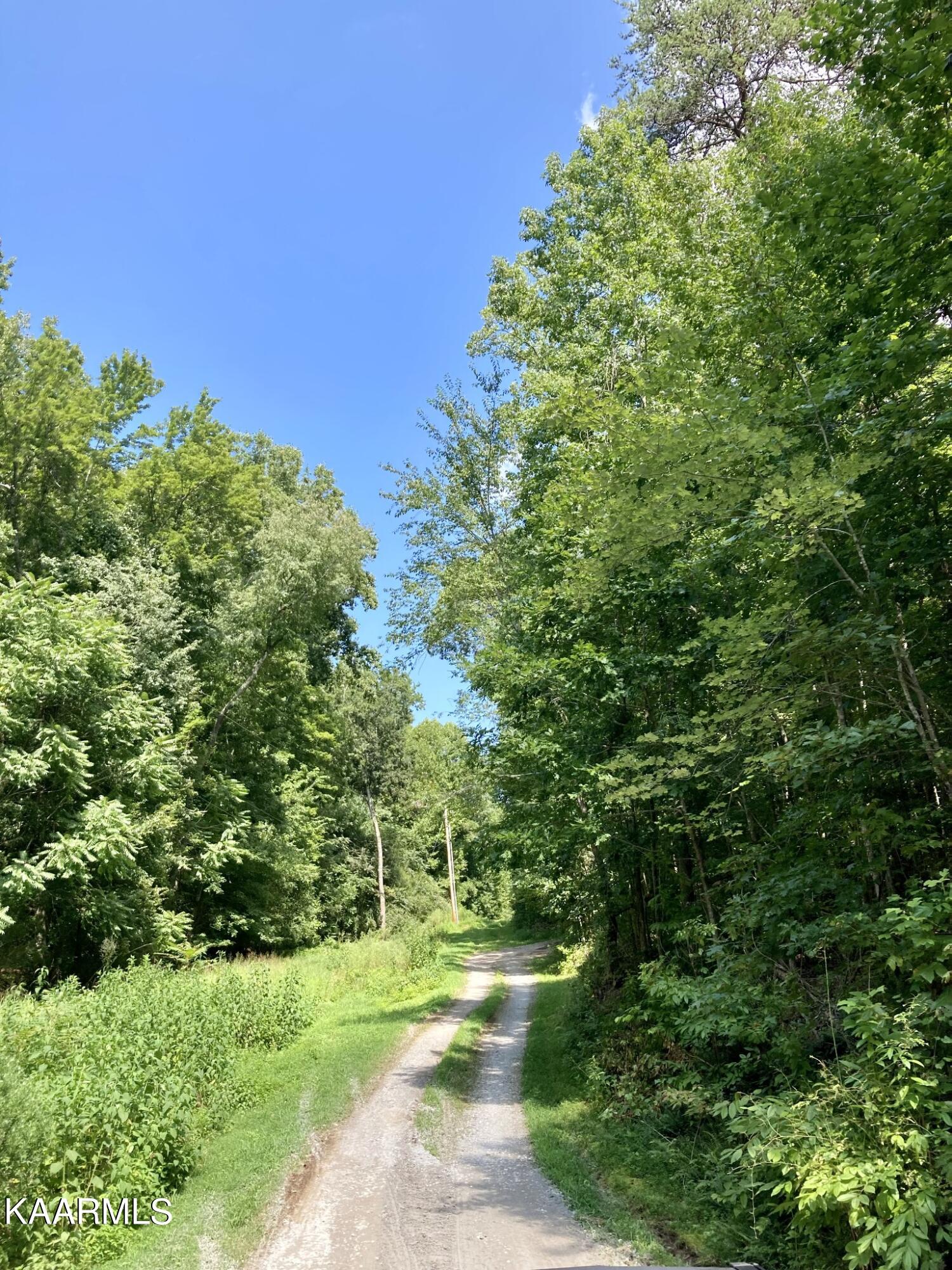 Land in Spring City 2