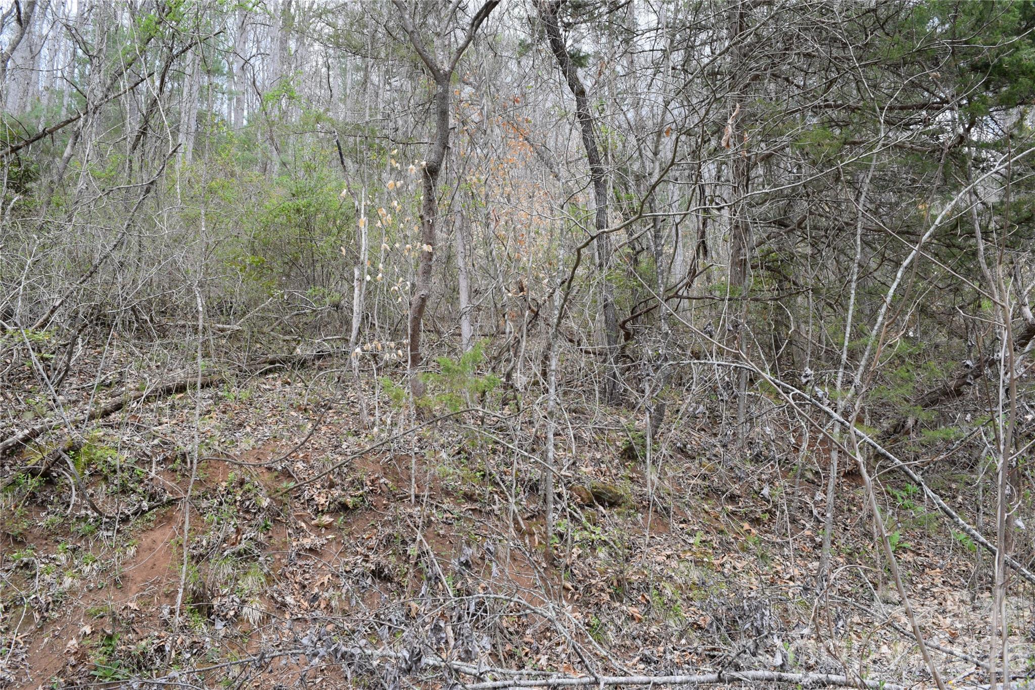 Land in Cullowhee