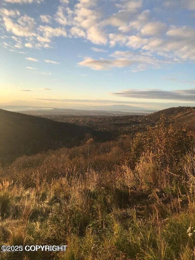 Echo Hills 04 | Image 5