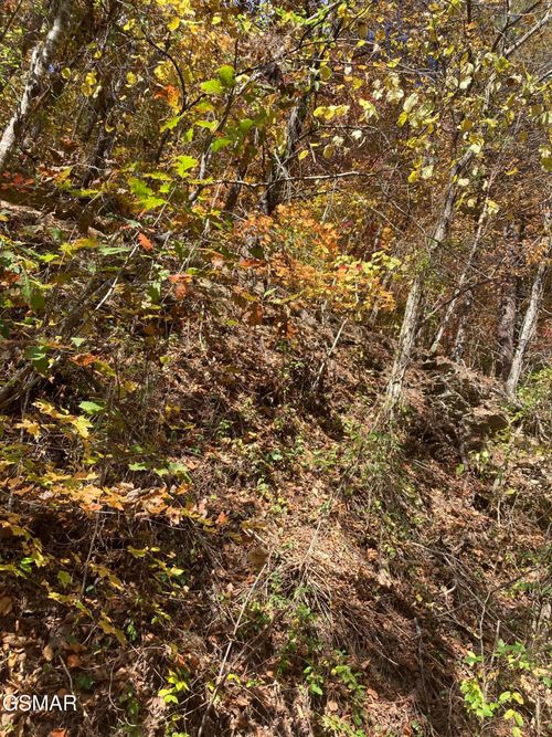 2 Meadow View Rd, Sevierville, TN, 37862 | Card Image
