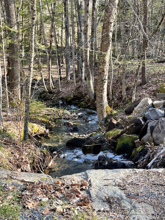 5000 Route 106, Home with 0 bedrooms, 0 bathrooms and null parking in Reading VT | Image 6