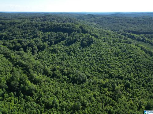 na-00 Nubbin Ridge Ln, Carbon Hill, AL, 35549 | Card Image