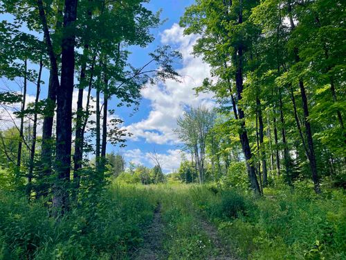 2209 Underpass Rd, Sutton, VT, 05867-6609 | Card Image
