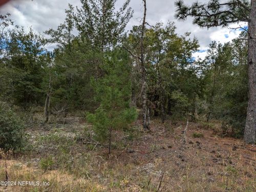 200 Pine Way, INTERLACHEN, FL, 32148 | Card Image