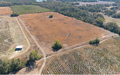 TBD-2 Se Walter Henderson Rd, Mayo, FL, 32066 | Card Image