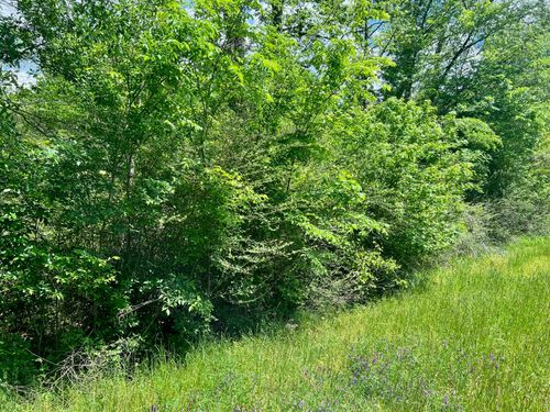 TBD N Highway 87, Center, TX, 75935 | Card Image