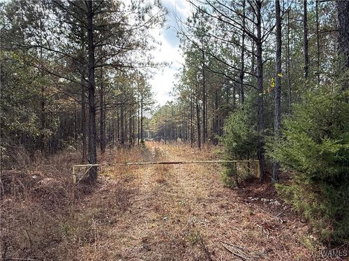 0000 Old Highway 18, Vernon, AL, 35592 | Card Image