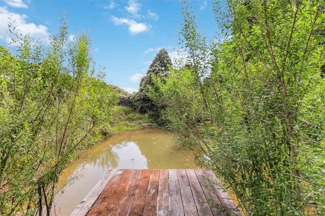 View of pond with dock | Image 21