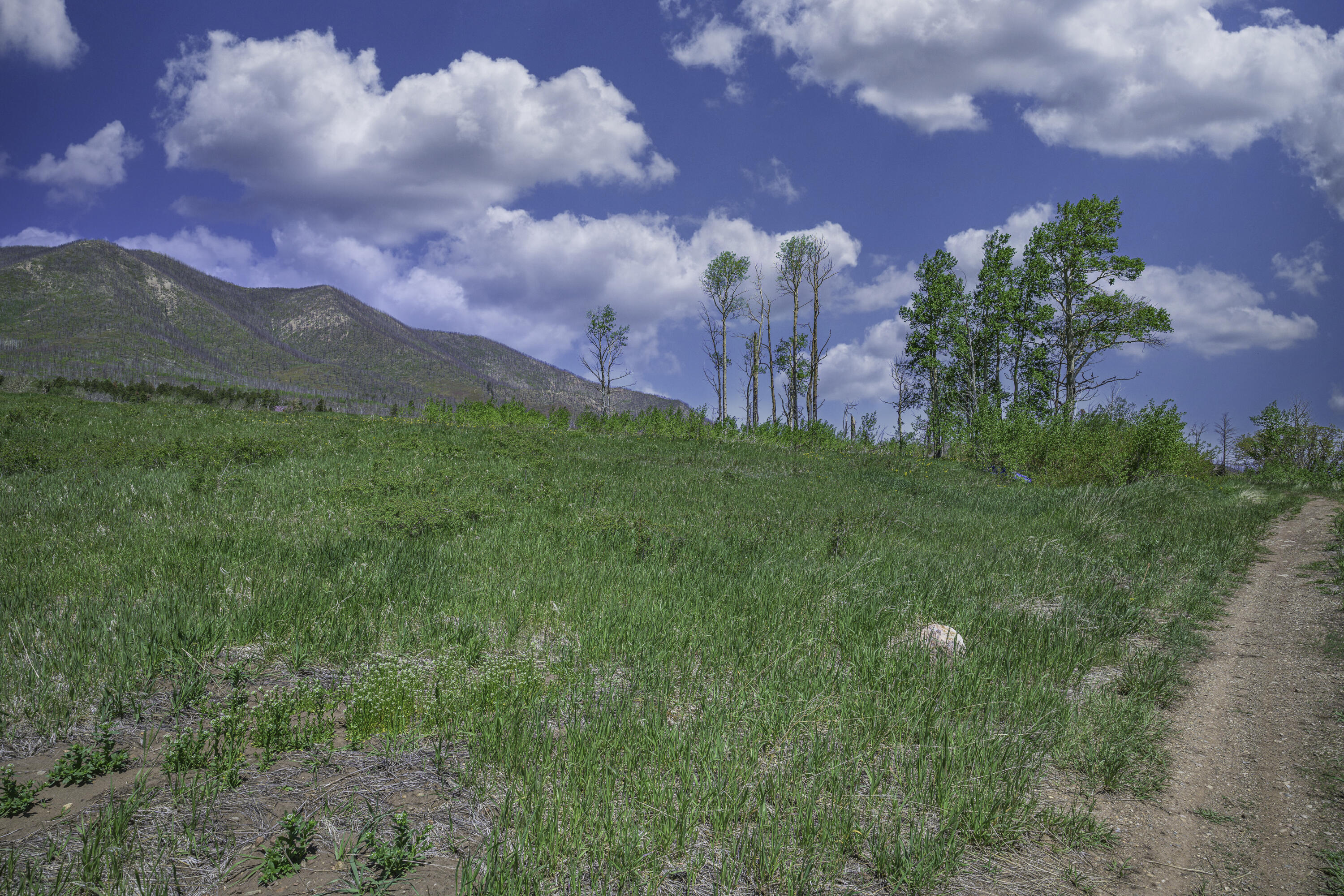 Land in La Veta 2