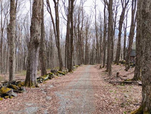 Lot 1 Far Away Rd, Putney, VT, 05346 | Card Image