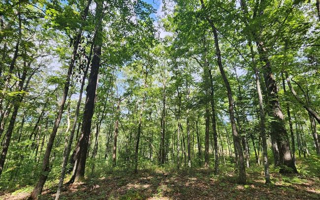 0 Lakeview Heights, Home with 0 bedrooms, 0 bathrooms and null parking in Hayesville NC | Image 9