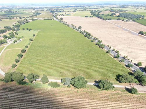 20013 E Hwy 88, Clements, CA, 95227-7246 | Card Image