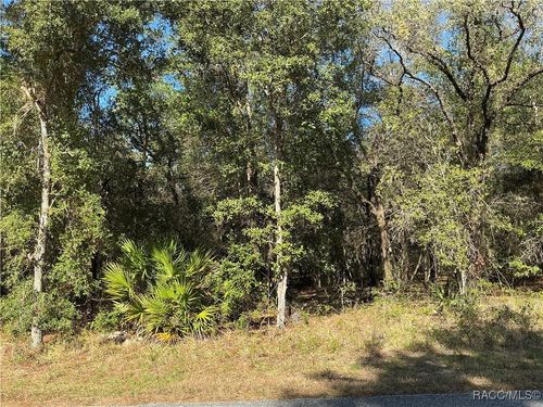 2039 E Newhaven St, Inverness, FL, 34453-9526 | Card Image