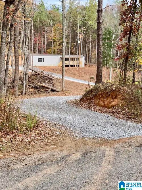 13775 County Road 895, Lineville, AL, 36266 | Card Image