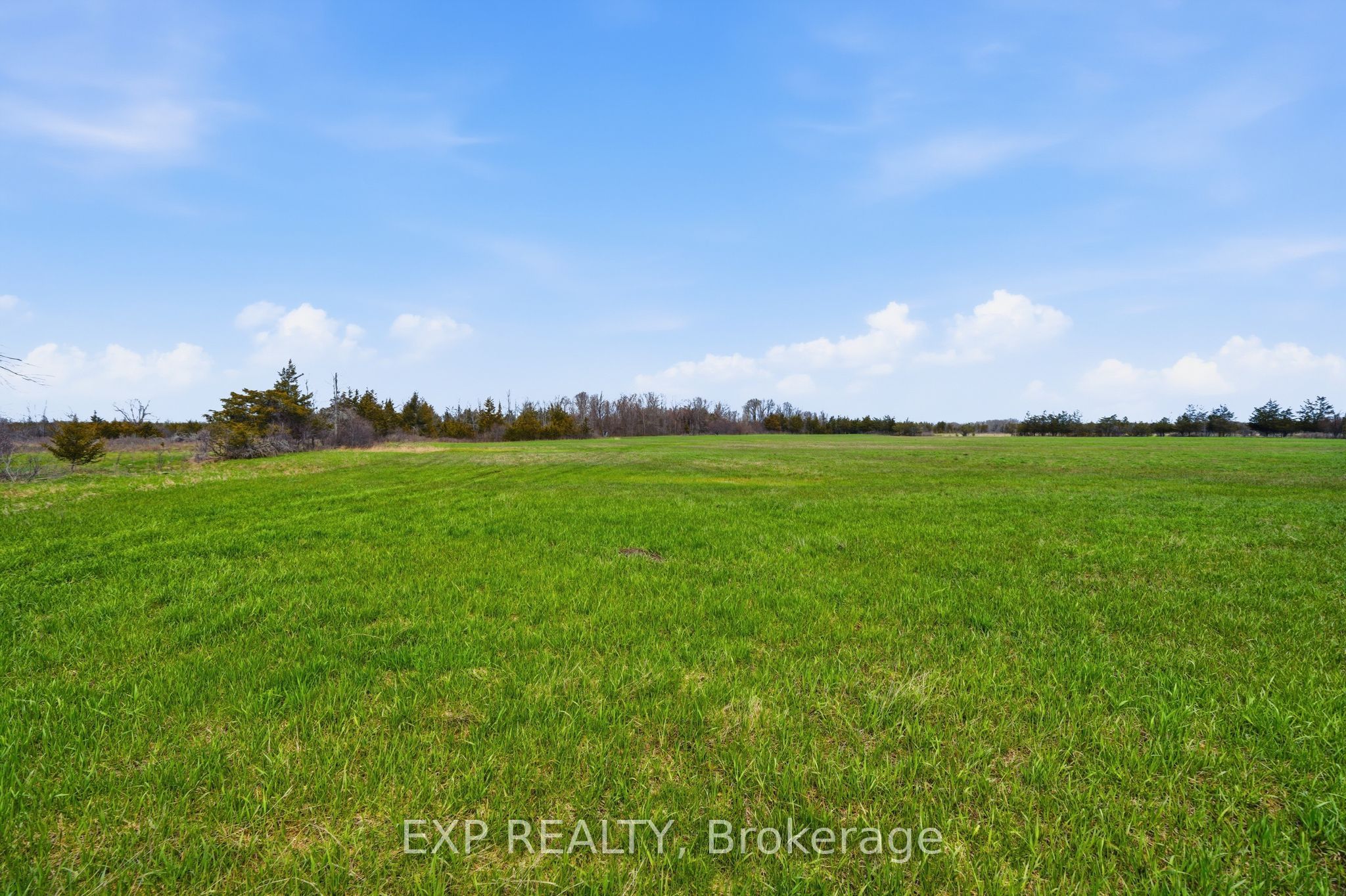 Residential in Prince Edward County 5