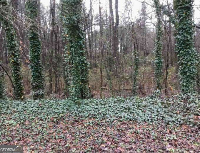 Land in Jonesboro